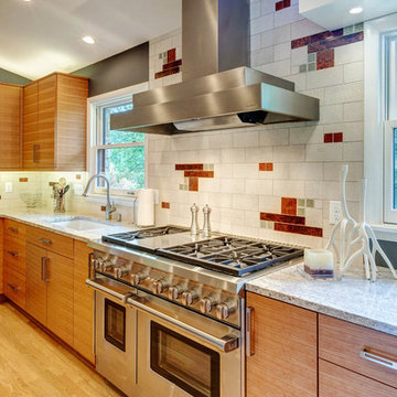 Brookfield Midcentury Modern Interior Remodeling