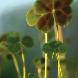 Art for your home - Prints And Posters