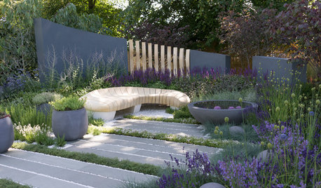 7 Quick(ish) Ideas to Update Your Contemporary Garden
