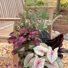 Garden Planter Ideas