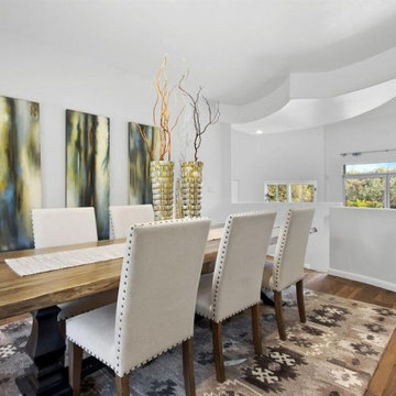 Stunning Foothills Contemporary Vacant Staging