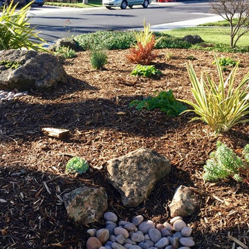 Front Yards without Lawn