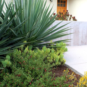 Capitola Contemporary