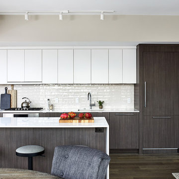 Kitchen and Bath Remodel -- Washington, DC