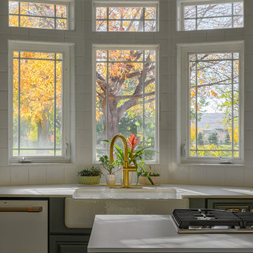 Shady Lane Kitchen and Master Bedroom