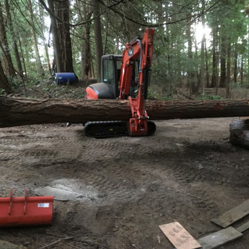 Excavation/ Site prep