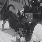 Tammy Straub's photo