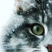 Анна Конаненко's photo