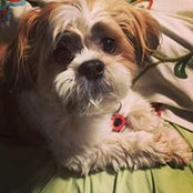 Desiree Gonzalez's photo