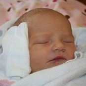 Sara Collins Droessler's photo