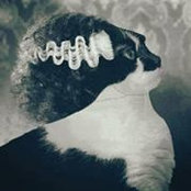 Marion Schuler-Powell's photo