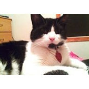Amy Jones's photo