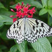Karen Ball's photo