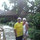lucy_plummer