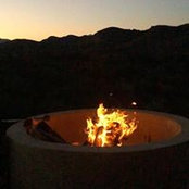 Shelley Cowling's photo