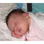 Babette Burkett-Wilson's photo