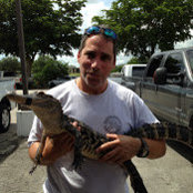 Harvey Meshel's photo