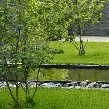 Garden in Berlin