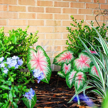 Custom Home Landscapes