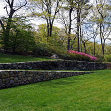Tiered Backyard