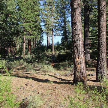 Lot for Sale - 307 James McIver, Lahontan Subdivision