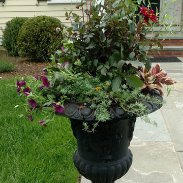 Fabulous Container Gardens