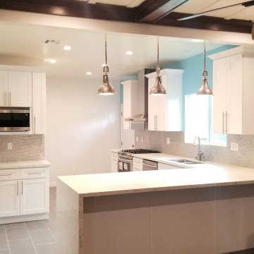 2 MONTHS!! Complete Kitchen Renovation