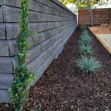 Drought Tolerant