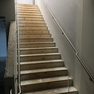 Stainless Steel Grab rails