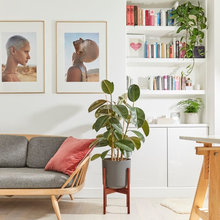 Living Room(s)