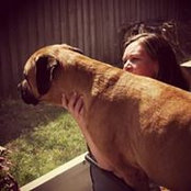 Myndee Tollefson's photo