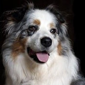 Fabienne Duteil's photo