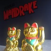 Películas Mandrake's photo