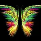 Brandy Pierce Thomasson's photo
