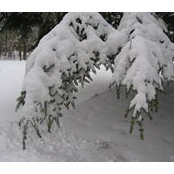 Bill Brown's photo