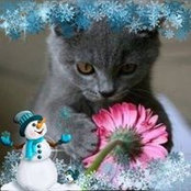 Sharon Holihan's photo