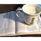 Terri Willcox's photo