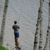 Abe Ambroza's photo