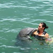Carolina Alvarez's photo