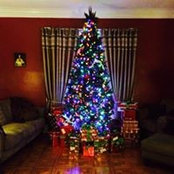 Leslea Jenkins's photo