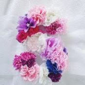 sarala's photo