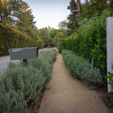Mandeville Canyon Modern Oasis