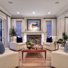 Window Treatments