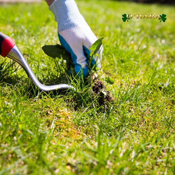 Weed Control
