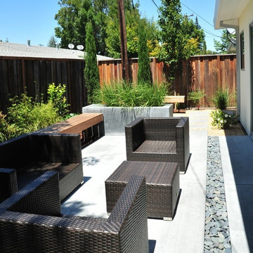 Mountain View Contemporary