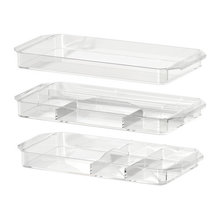 Organization