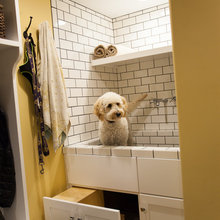Dog Washing Stations