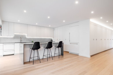 Example of a trendy kitchen design in DC Metro
