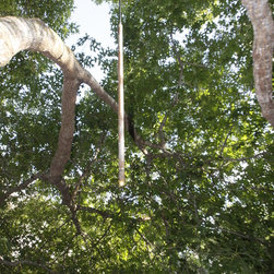Firefly Lighting - Products