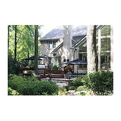 Beauty in Bainbridge - Outdoor Umbrellas